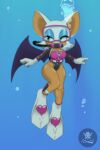 rouge the bat from sega by anthrokidnapper
