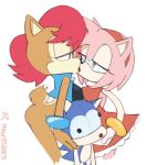 amy rose from sonic the hedgehog (series) by sooperman