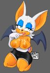 rouge the bat from sega by bullet43