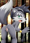 archie_comics bbmbbf lupe_wolf mobius_unleashed palcomix sega sonic_(series) sonic_the_hedgehog_(series) tagme