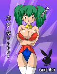 1_girl 1girl 2007 alluring duplica female female_human female_only green_hair hot human imite_(pokemon) kageta lingerie pokemon pokemon_(anime) solo standing stockings zage_inc