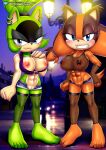 sticks the jungle badger from mobius unleashed by bbmbbf