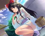  1girl black_hair bow breasts brown_eyes brown_hair bucket dutch_angle female hair_bow hair_over_breasts hair_tubes hakurei_reimu kobanzame long_hair one_eye_closed reimu_hakurei see-through solo squatting tabi touhou water wet wet_clothes wink 