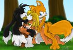 coco_bandicoot crash_bandicoot crossover klonoa miles_"tails"_prower multiple_tails sega sonic_(series) sonic_team tail