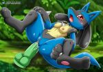 lucario from nintendo by bbmbbf