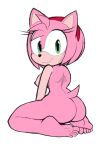 amy rose from sega by hintofmint