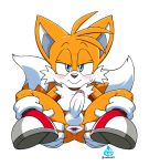 1boy asking_for_it bedroom_eyes blue_eyes blush chest_tuft coolblue erection eyebrows fox gaping_anus gloves half-closed_eyes humanoid_penis legs_up miles_"tails"_prower multiple_tails presenting_anus sega shoes smile spread_anus sweat tail testicles