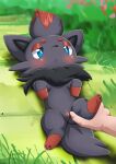 zorua from nintendo by bbmbbf