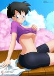 1girl big_breasts black_hair blue_eyes cute dragon_ball dragon_ball_z hot looking_at_viewer sexy short_hair sideboob sitting smile underboob videl zel-sama