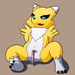 1girl adult circumcision clamp digimon pruning pussy renamon tamers
