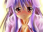 reisen udongein inaba from touhou by futakabe