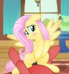 1_female 1_male 1boy 1girl female female_pegasus fluttershy fluttershy_(mlp) friendship_is_magic horsecock my_little_pony pegasus rainbownspeedash sex vaginal vaginal_penetration