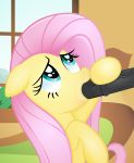 1_female 1_male 1boy 1girl erection fellatio female female_pegasus fluttershy fluttershy_(mlp) friendship_is_magic horsecock my_little_pony oral pegasus penis rainbownspeedash