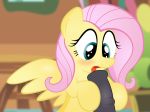 1_female 1_male 1boy 1girl erection fellatio female female_pegasus fluttershy fluttershy_(mlp) friendship_is_magic horsecock my_little_pony oral pegasus penis rainbownspeedash