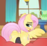 1_female 1_male 1boy 1girl cutie_mark erection female female_pegasus fluttershy fluttershy_(mlp) friendship_is_magic horsecock looking_at_viewer looking_back my_little_pony pegasus penis pussy rainbownspeedash sex vaginal vaginal_penetration