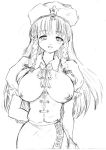 hong meiling from the embodiment of scarlet devil