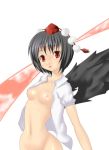  1girl aya_shameimaru black_hair black_wings breasts female hat kurone nipples nude open_clothes open_shirt shameimaru_aya shirt short_hair solo touhou wings 