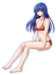  1girl alluring blue_hair breasts caeda caeda_(fire_emblem) fire_emblem fire_emblem:_mystery_of_the_emblem high_res lingerie nintendo underwear 