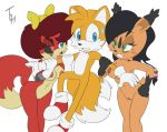 archie_comics fiona_fox miles_"tails"_prower nicole_the_lynx sega sega sonic_the_hedgehog_(series) the_other_half