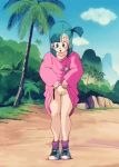 anime bulma_brief dragon_ball dress_lift gif no_panties pussy shirt_lift