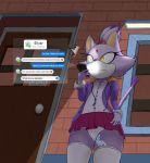 1girl 1girl amber_eyes anthro blaze_the_cat clothed clothing domestic_cat eulipotyphlan felid feline felis fur furry hedgehog hidden_vibrator mammal masturbation public purple_body purple_fur remote_controlled_vibrator sega sex_toy silver_the_hedgehog text underwear upskirt vaithun vibrator