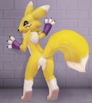 1girl adult caught fox pussy renamon tamers vixen vulpine