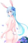 Booru post from xbooru.com