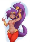 breasts looking_at_viewer nerdbayne shantae shantae_(character) topless