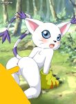 gatomon tagme