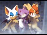  3_girls anthro anthro_only ass blaze_the_cat female_only multiple_girls nancher nude pussy rouge_the_bat sega sonic_(series) vanilla_the_rabbit 