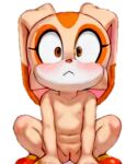 1girl ai-generated ai_generated blush brown_eyes cleft_of_venus completely_nude completely_nude_female cream_the_rabbit cub female_focus furry furry_female kneel looking_at_viewer nipples nude pussy sega simple_background small_breasts sonic_the_hedgehog_(series) white_background