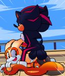  1girl anal anal_penetration ass cream_the_rabbit dreamcastzx1 nude sex shadow_the_hedgehog sonic_(series) 