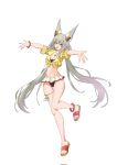 1girl adapted_costume alluring animal_ears cat_ears chest_jewel full_body grey_hair hehe_jun high_res nia_(blade)_(xenoblade) nia_(xenoblade) xenoblade_(series) xenoblade_chronicles_2 yellow_eyes
