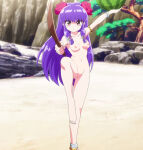beach edit long_hair looking_at_viewer medium_breasts nekom14 nipples nude one_leg_up purple_hair pussy ranma_1/2 red_eyes screencap shampoo_(ranma_1/2) sword watermelon