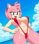 amy_rose mobian_(species) sonic_the_hedgehog_(series) tagme