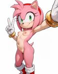 ai_generated amy_rose mobian_(species) sonic_the_hedgehog_(series) tagme