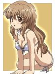 bikini brown_eyes brown_hair haruka_nogizaka lowres nogizaka_haruka nogizaka_haruka_no_himitsu oekaki swimsuit