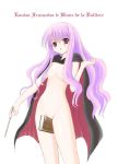 louise louise_francoise_le_blanc_de_la_valliere tagme zero_no_tsukaima