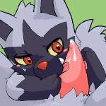 pokemon poochyena tagme