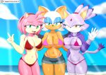 3girls amy_rose art bat beach blaze_the_cat digital digital_art drawing fanart feline female furry furry_art hedgehog lferriv rouge_the_bat sega sonic_the_hedgehog_(series)