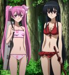 2_girls akame_(akame_ga_kill!) akame_ga_kill! alluring anime_screenshot big_breasts bikini black_eyes black_hair cleavage hair_ribbon high_res katana long_hair looking_at_viewer mine_(akame_ga_kill!) multiple_girls pink_bikini pink_eyes pink_hair pink_ribbon red_bikini ribbon standing stitched swimsuit sword thighs third-party_edit twin_tails weapon