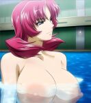 1girl alluring big_breasts completely_nude_female freezing_(series) grey_eyes magenta_hair nude roxanne_elipton skinny_dipping swimming_pool wet