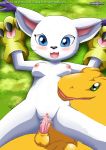 gatomon tagme