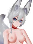 1girl animal_ears bangs blue_eyes braid breasts choker closed_mouth eyebrows_visible_through_hair fox_tail grey_hair high_resolution kitsunemimi looking_at_viewer medium_breasts nezuko nipples nude original red_choker short_hair simple_background smile tail tied_hair upper_body white_background