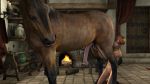  beastiality extremexworld fantasy horse teen 