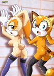 against_wall bbmbbf breasts breasts_out cream_the_rabbit furry marine_the_raccoon mobius_unleashed nude palcomix presenting_hindquarters pussy sega sonic_(series) sonic_the_hedgehog_(series) thighhighs