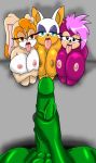  1boy 3girls anthro bat breasts erection first_person_view group hedgehog highres humanoid_penis lagomorph looking_at_viewer male male/female male_pov mammal masturbation mature_female milf nipples nude parent penile_masturbation penis rabbit rouge_the_bat sega sonia_the_hedgehog thegeckodemon vanilla_the_rabbit 