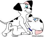 101_dalmatians cadpig disney lucky white_background