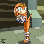 alluring sega shadowwalk sonic_(series) tagme tikal_the_echidna