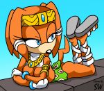 alluring sega shadowwalk sonic_the_hedgehog_(series) tagme tikal_the_echidna